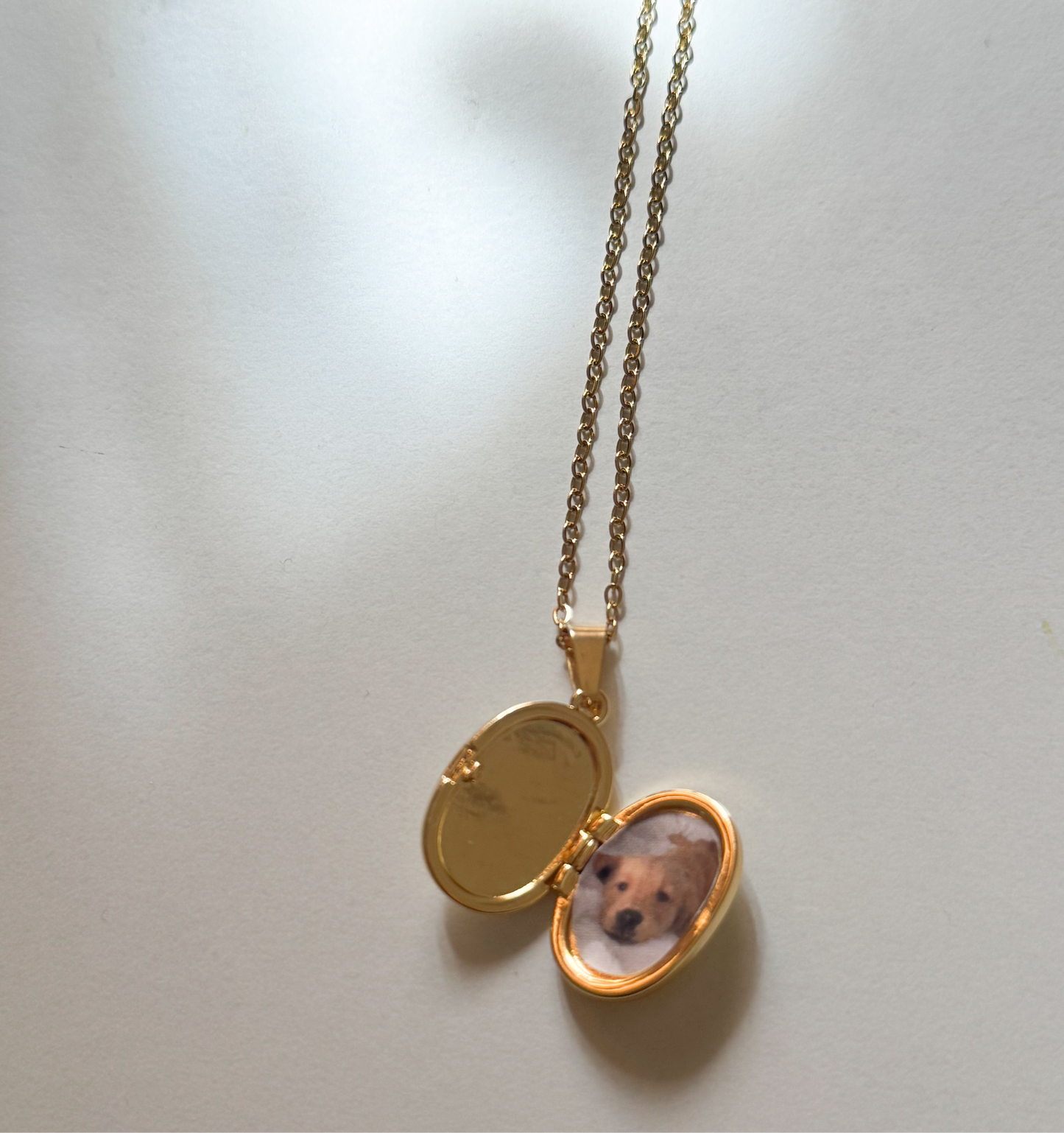 Amarylis locket necklace