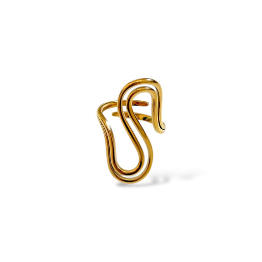 Zelina ring